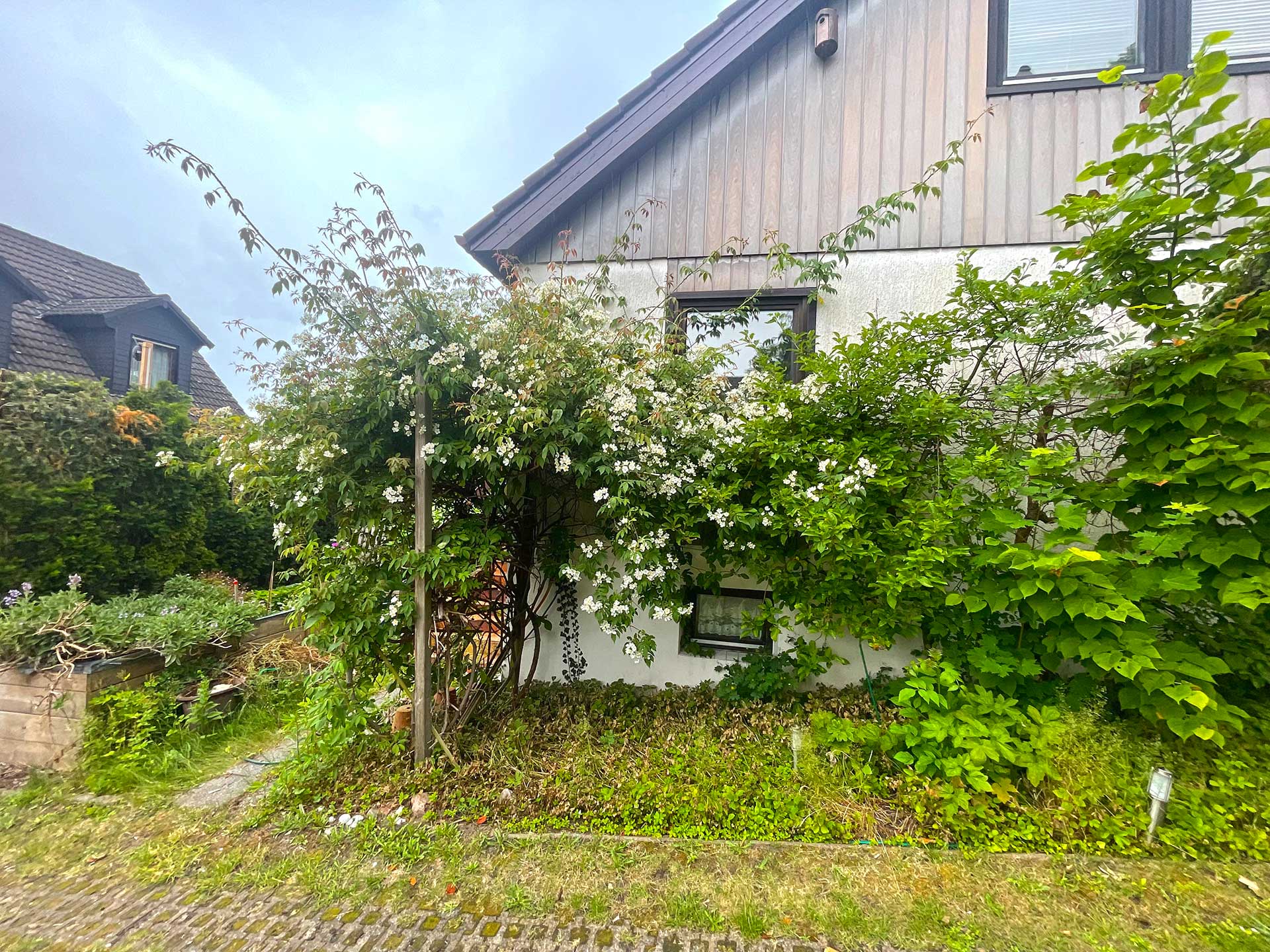 Haus